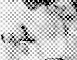 Ekraani tindid